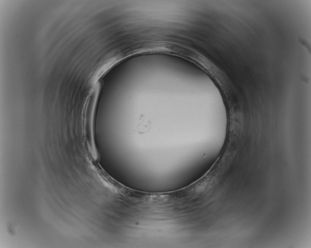 X0000099970858200806061628