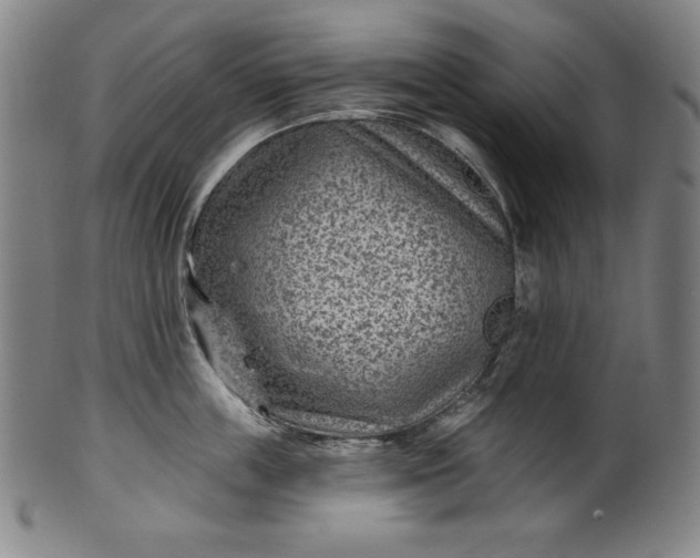 X0000099970859200806061628