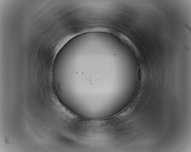 X0000099970860200806061628