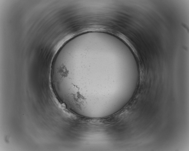 X0000099970861200806061628