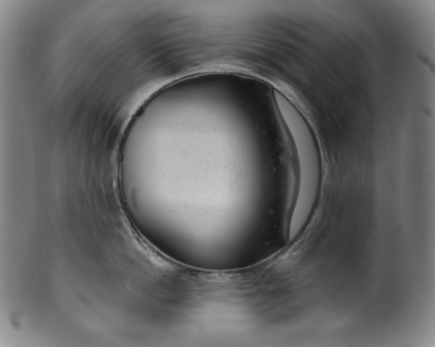 X0000099970862200806061628