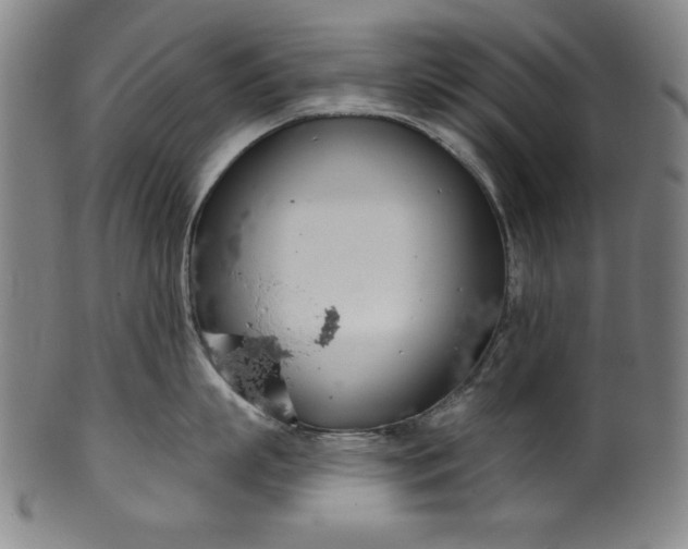 X0000099970863200806061628