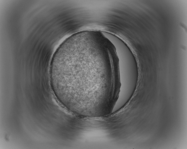 X0000099970864200806061628