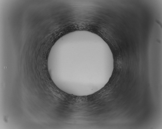 X0000099970865200806061628