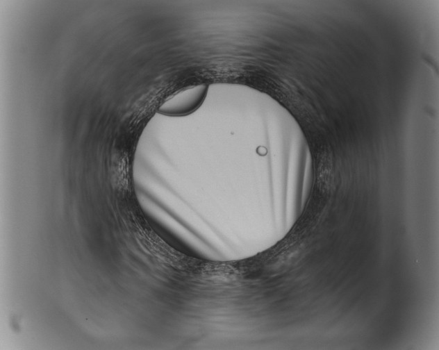 X0000099970866200806061628