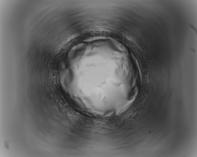 X0000099970870200806061628