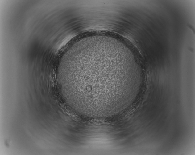 X0000099970871200806061628