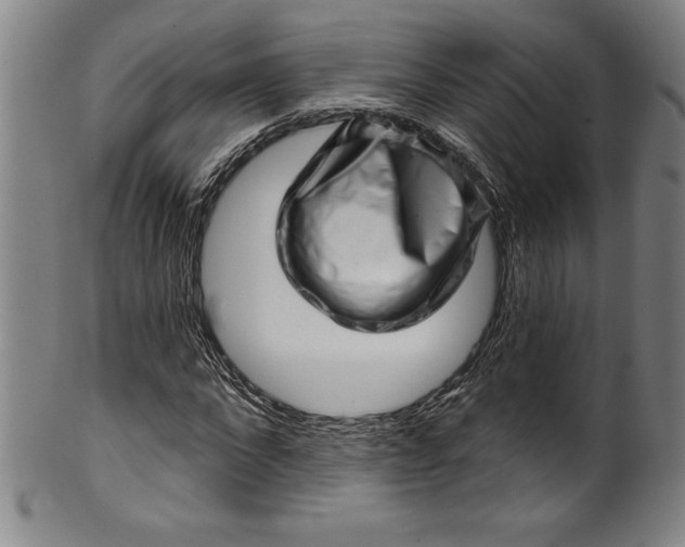 X0000099970872200806061627