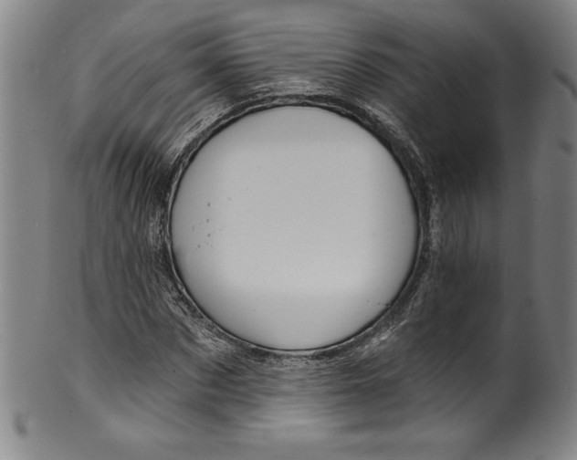 X0000099970873200806061627