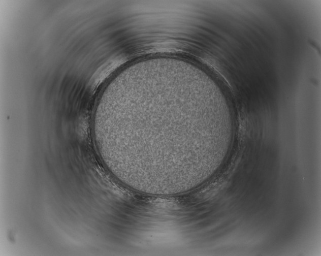 X0000099970874200806061627