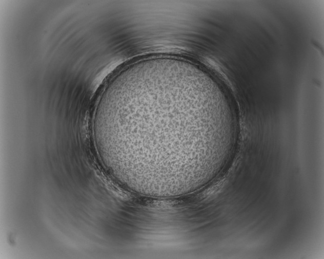 X0000099970875200806061627