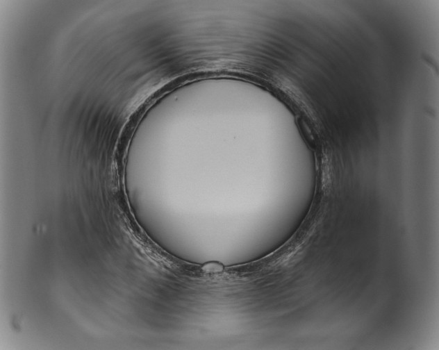 X0000099970876200806061627