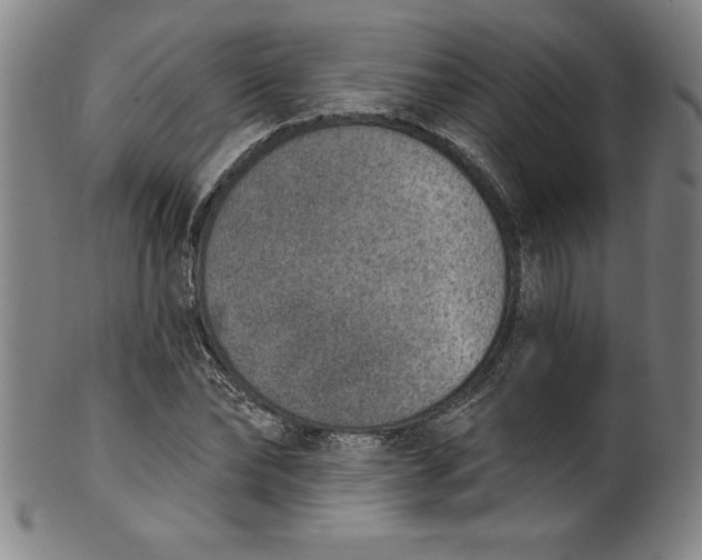 X0000099970878200806061627