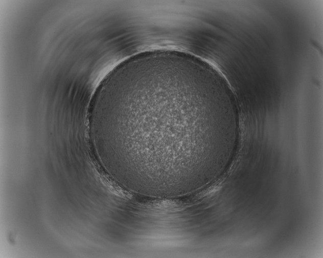 X0000099970879200806061627