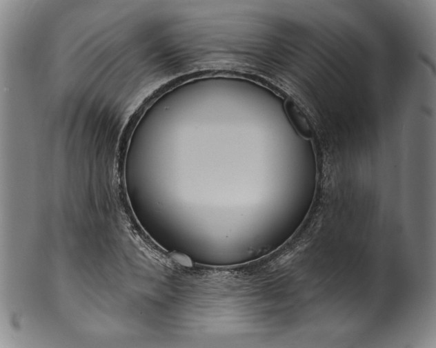 X0000099970880200806061627