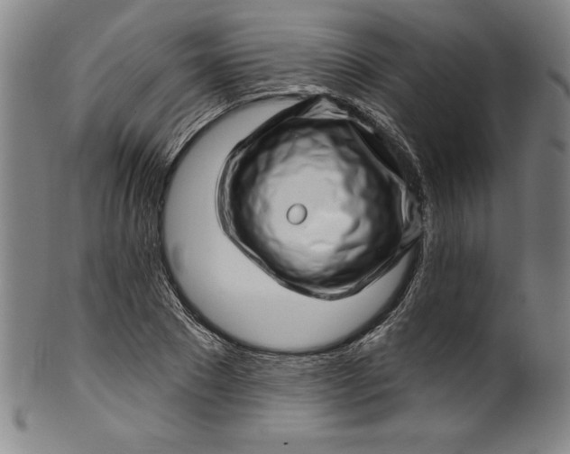 X0000099970881200806061627