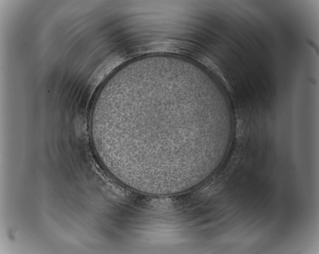 X0000099970882200806061627