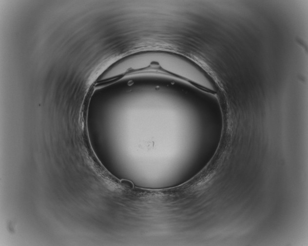 X0000099970885200806061627