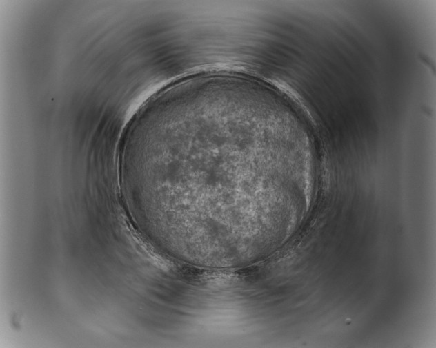 X0000099970886200806061627