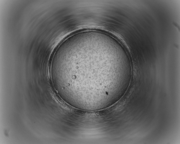 X0000099970887200806061627