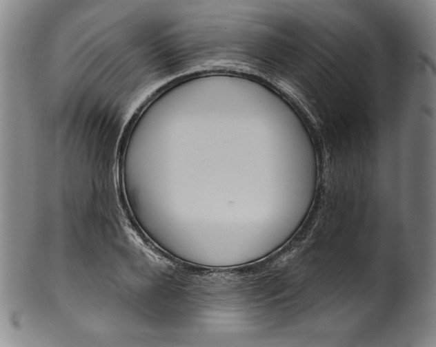 X0000099970888200806061627