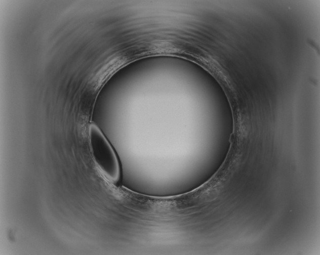 X0000099970889200806061627