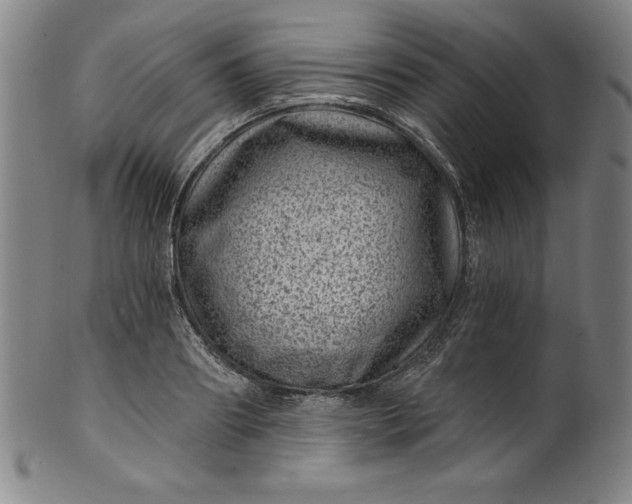 X0000099970890200806061627