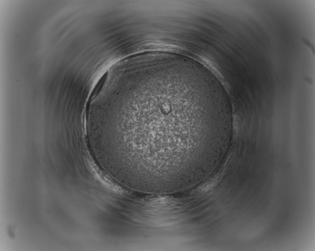 X0000099970891200806061627