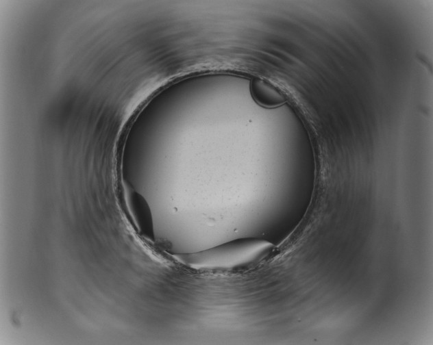 X0000099970894200806061627