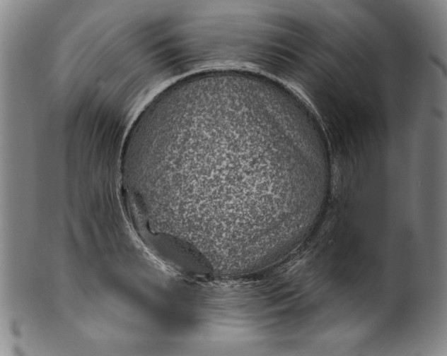 X0000099970895200806061627