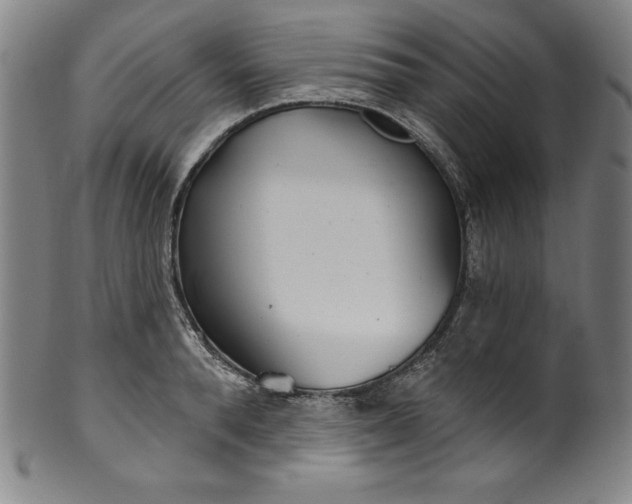 X0000099970896200806061627