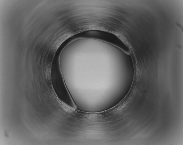 X0000099970897200806061627