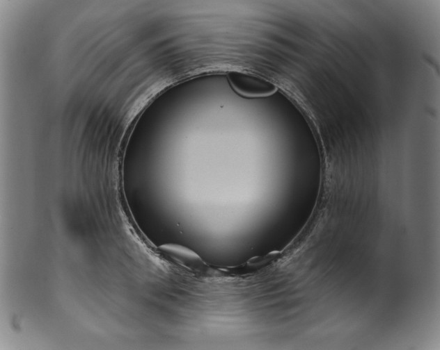 X0000099970898200806061627