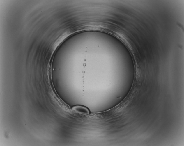 X0000099970899200806061627