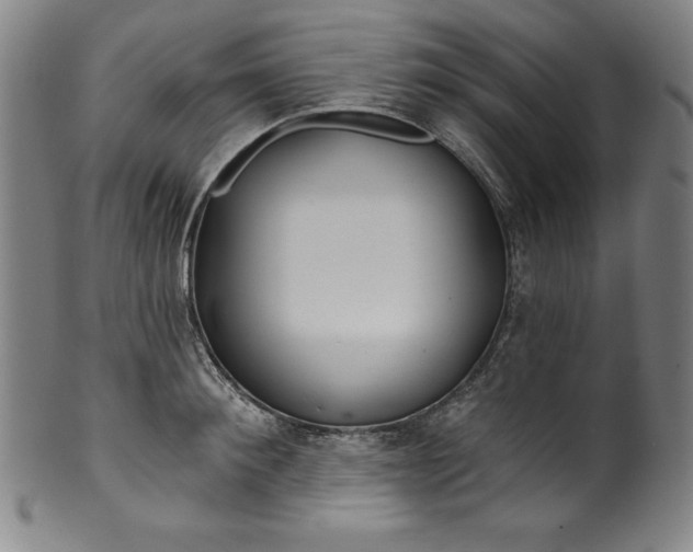 X0000099970900200806061627