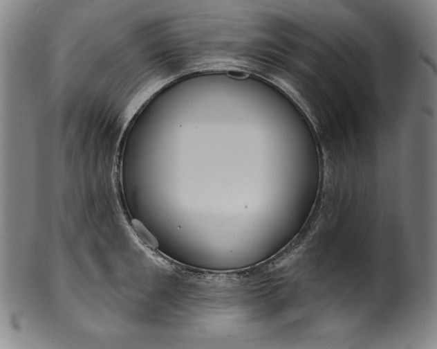 X0000099970901200806061627