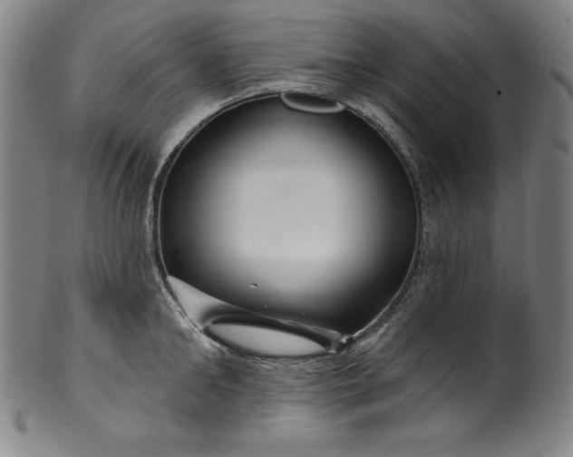 X0000099970902200806061627