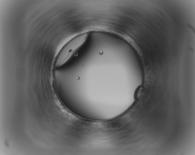 X0000099970904200806061627