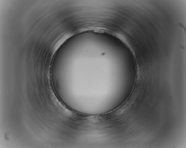 X0000099970906200806061627