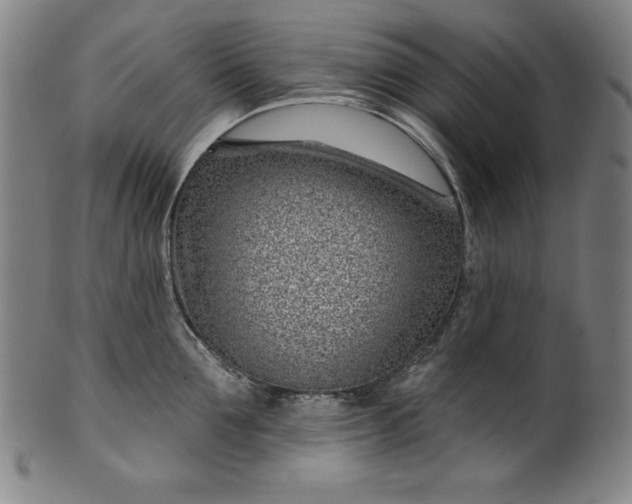 X0000099970907200806061627