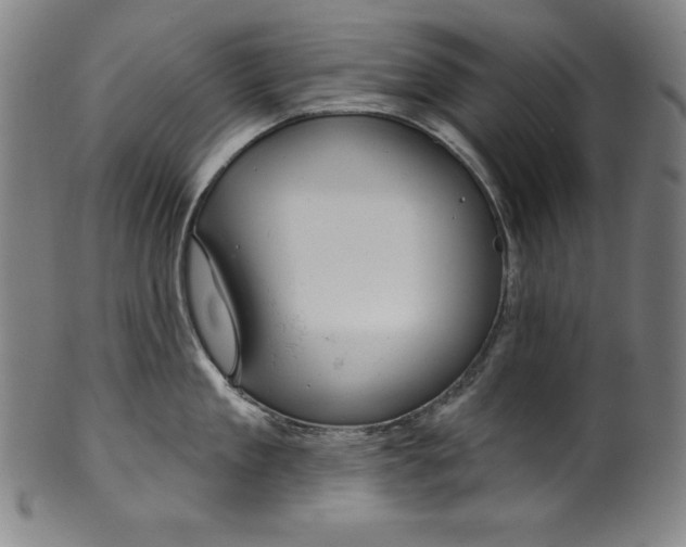 X0000099970909200806061627