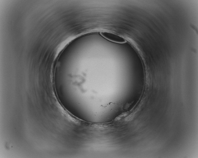 X0000099970910200806061627