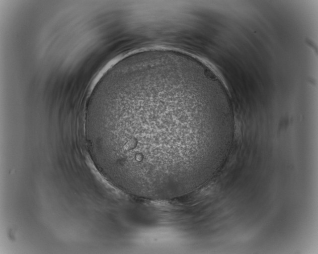 X0000099970911200806061627