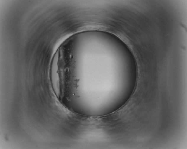 X0000099970912200806061627