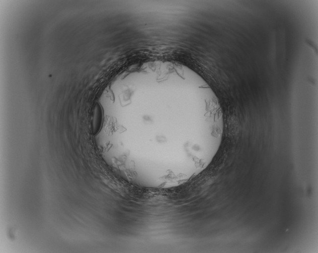 X0000099970913200806061626