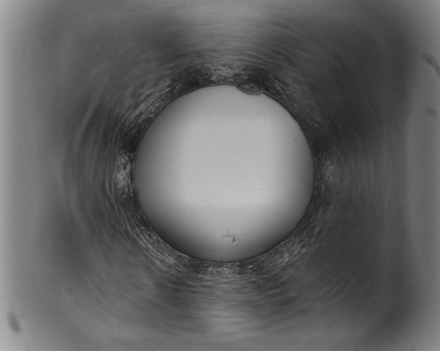 X0000099970914200806061626