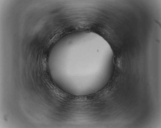 X0000099970915200806061626