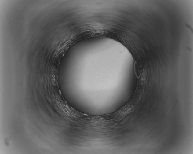 X0000099970916200806061626