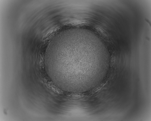 X0000099970917200806061626