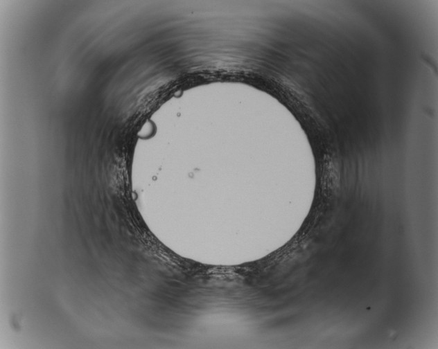 X0000099970918200806061626